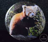 button_panda